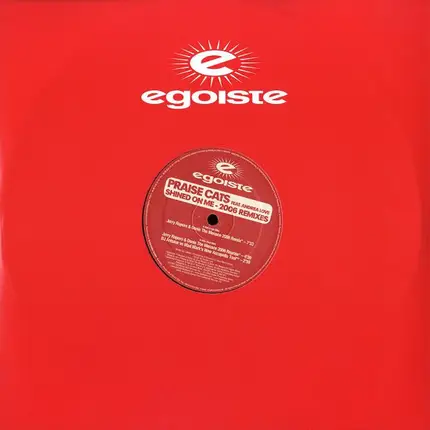 Praise Cats Feat. Andrea Love - Shined On Me (2006 Remixes)