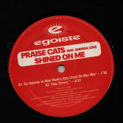 Praise Cats Feat. Andrea Love - Shined On Me