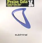 praise cats - Love Is The Key