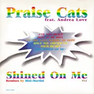 Praise Cats - Shined on Me