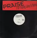 12inch Vinyl Single - Praise - I'm Flying Like A Dove