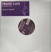 Praise Cats Feat. Andrea Love - Love Is The Key