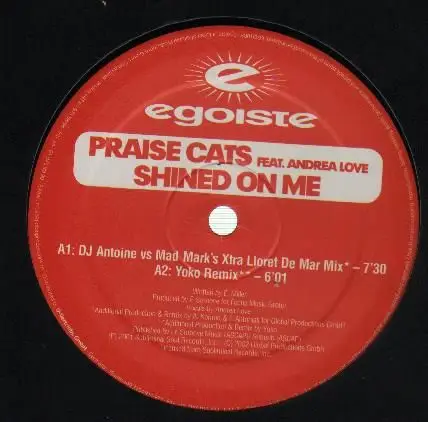 Praise Cats Feat. Andrea Love - Shined On Me
