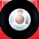 7inch Vinyl Single - Prairie Oyster - Goodbye, So Long, Hello / If I Could Take My Own Advice