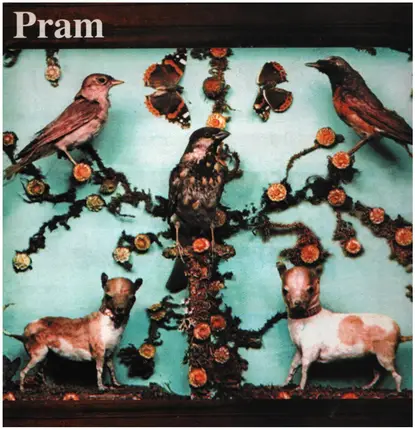 Pram - The Museum of Imaginary Animals
