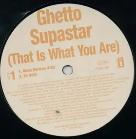 Pras Michel Featuring ODB Introducing Mya - Ghetto Superstar (That Is What You Are)