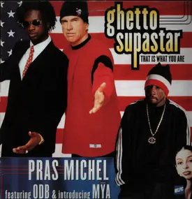 Pras Michel - Ghetto Supastar (That Is What You Are)