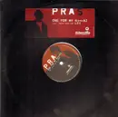 12inch Vinyl Single - Pras Featuring Sheek - One For My Naz