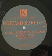 12inch Vinyl Single - Prefab Sprout - Lions In My Own Garden