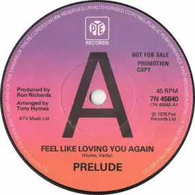 Pre-lude - Feel Like Loving You Again