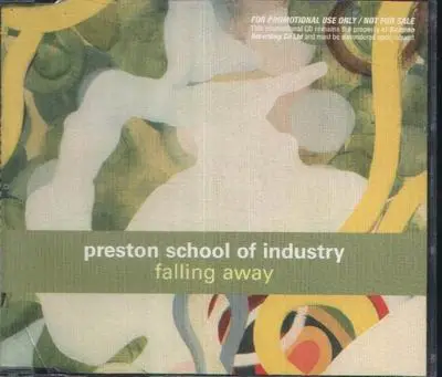 Preston School of Industry - falling away