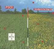 Amazing Grease Records