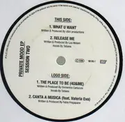 12inch Vinyl Single - Private Mood Project - Session Two