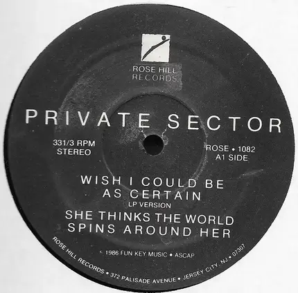 Private Sector - Wish I Could Be As Certain