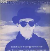 Private Sector