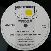 Private Sector - Like A Ton Of Bricks (It's Hit Me)