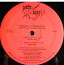 12'' - Private Possession Featuring Hunter Hayes - Are You Wid It