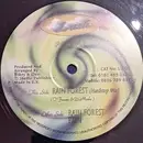 12inch Vinyl Single - Prizna - Rain Forest / Pain