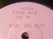 Prizna - River Nile