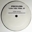 12inch Vinyl Single - Priceless - Can You Feel It