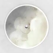 LP - Primal Code - La Via Della Seta