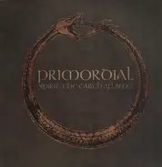 Primordial - Spirit the Earth Aflame