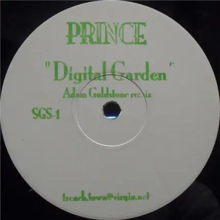 Prince - Digital Garden (Adam Goldstone Remix)