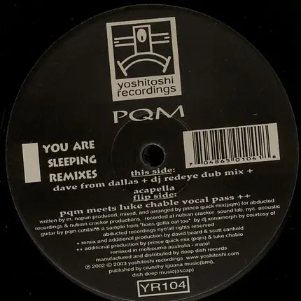 Prince Quick Mix - You Are Sleeping (Remixes)