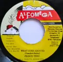 7inch Vinyl Single - Prince Theo - What Goes Around