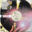 Double LP - Prince - Musicology