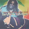 12'' - Prince Ital Joe Feat. Marky Mark - Rastaman Vibration