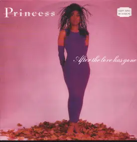 Princess - After The Love Has Gone