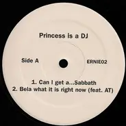 Princess Is A DJ - Untitled