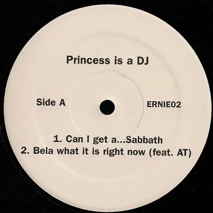 Princess Is A DJ - Untitled