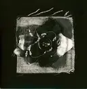 7inch Vinyl Single - Prinzhorn Dance School - Crackerjack Docker