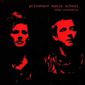 Prinzhorn Dance School - Home Economics (lp+mp3)