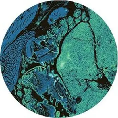 Pris - Unbeknown