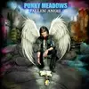 CD - Punky Meadows - Fallen Angel