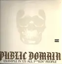 LP - Public Domain - Example IV Us All F**Kin' People - Insert