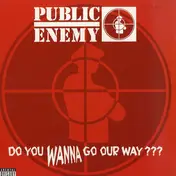 Public Enemy - Do You Wanna Go Our Way???