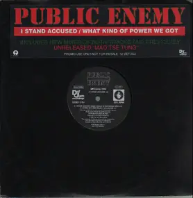 Public Enemy - I Stand Accused