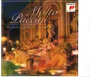 Puccini - Die Großen Erfolge G. Puccini