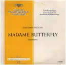 10'' - Puccini - Madame Butterfly - historic / Mono / Tulip rim / Club edition