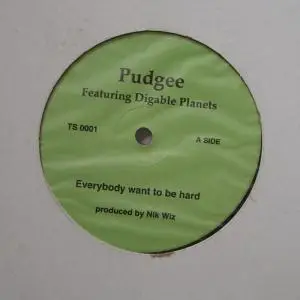 Pudgee - Everybody Want To Be Hard / Inner City Blues