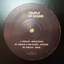 12inch Vinyl Single - Pugilist & Sub Basics - Reflections