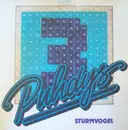 LP - Puhdys - Puhdys 3: Sturmvogel