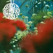 pulled apart by horses - The Haze (2022 Repress)