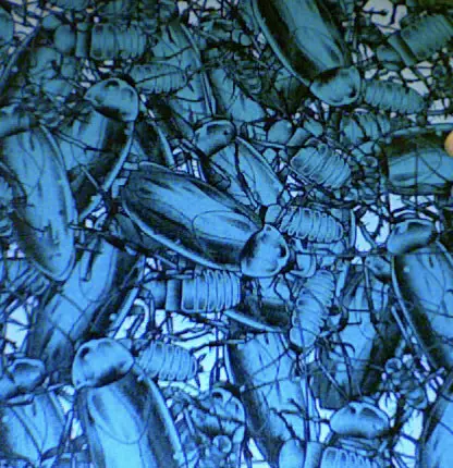 Pulling Teeth / Shin To Shin - Pulling Teeth / Shin To Shin