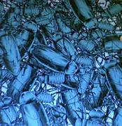 7inch Vinyl Single - Pulling Teeth / Shin To Shin - Pulling Teeth / Shin To Shin