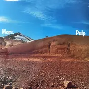 LP - Pulp - More.